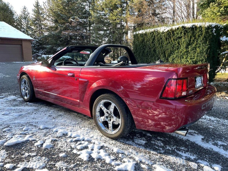 Second Hand 2003 Ford mustang cobra svt convertible 6-speed “terminator” For Sale Waterloo, Ontario Gallery Image