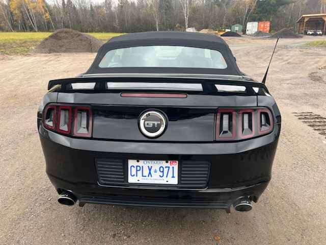 Second Hand 2014 Ford mustang For Sale St Catharines, Ontario Gallery Image