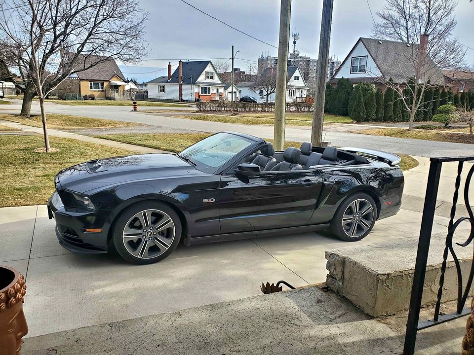 Second Hand 2014 Ford mustang For Sale St Catharines, Ontario