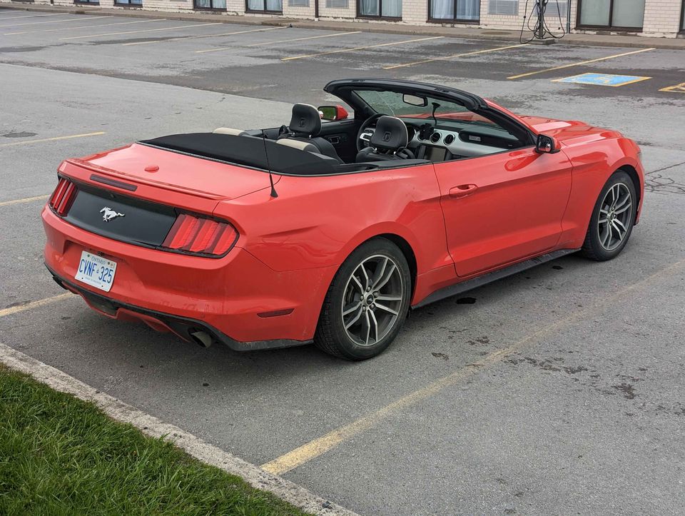 Second Hand 2015 Ford mustang For Sale Quinte West, Ontario Gallery Image