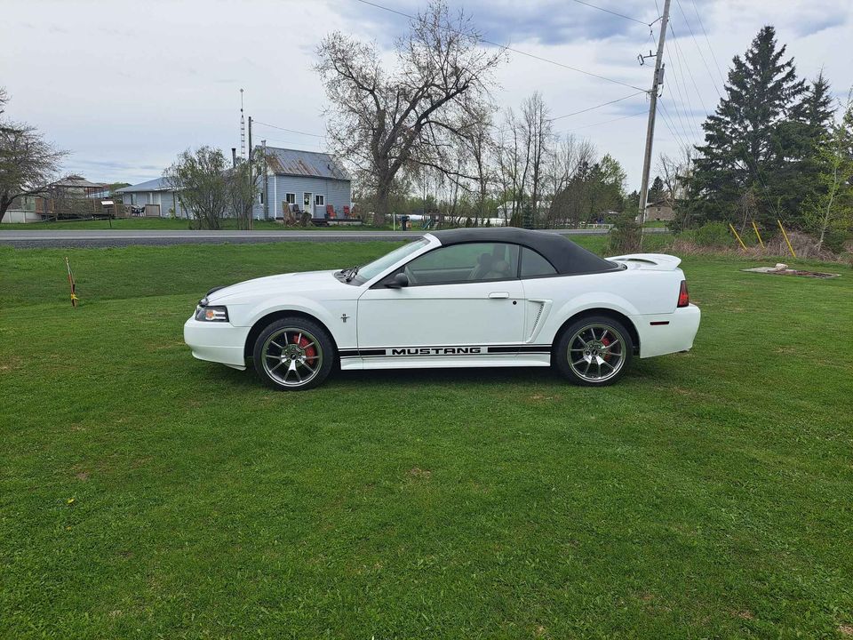 Second Hand 2000 Ford mustang For Sale South Stormont, Ontario