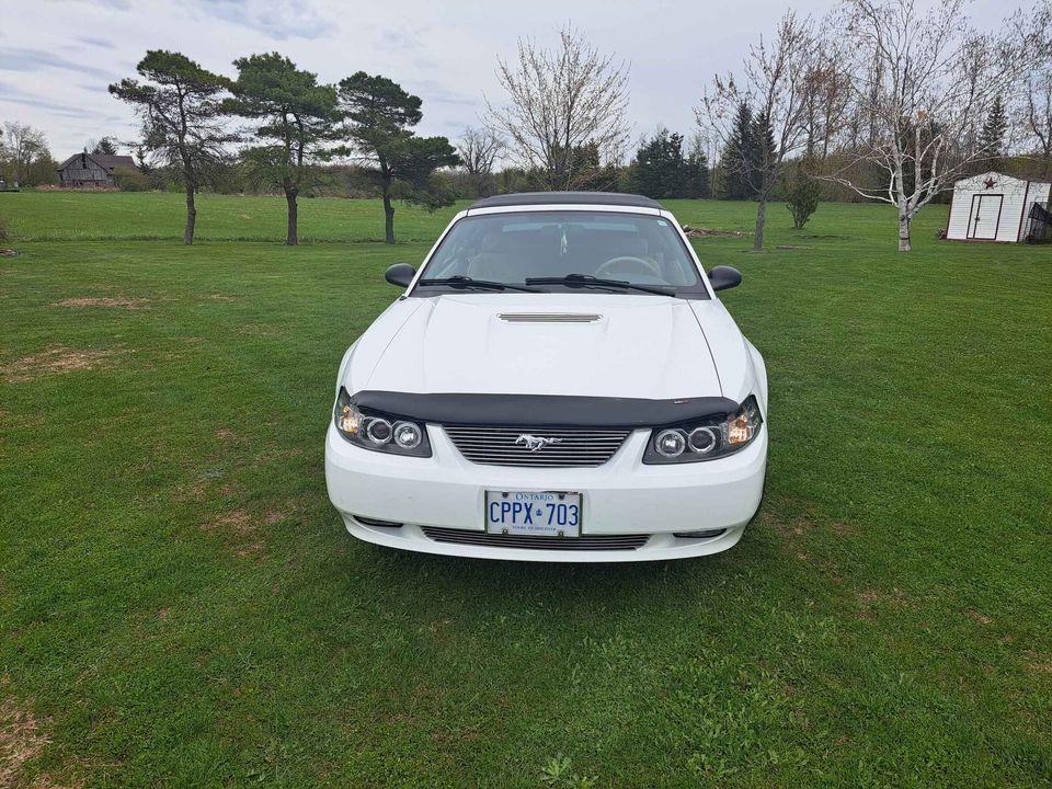Second Hand 2000 Ford mustang For Sale South Stormont, Ontario Gallery Image