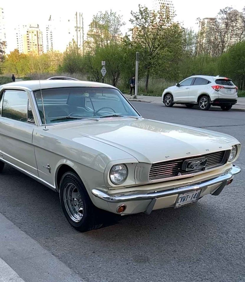 Second Hand 1966 Ford mustang For Sale Mississauga, Ontario Gallery Image