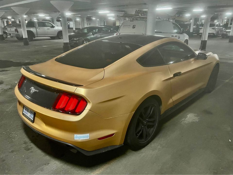Second Hand 2015 Ford mustang For Sale Toronto, Ontario Gallery Image
