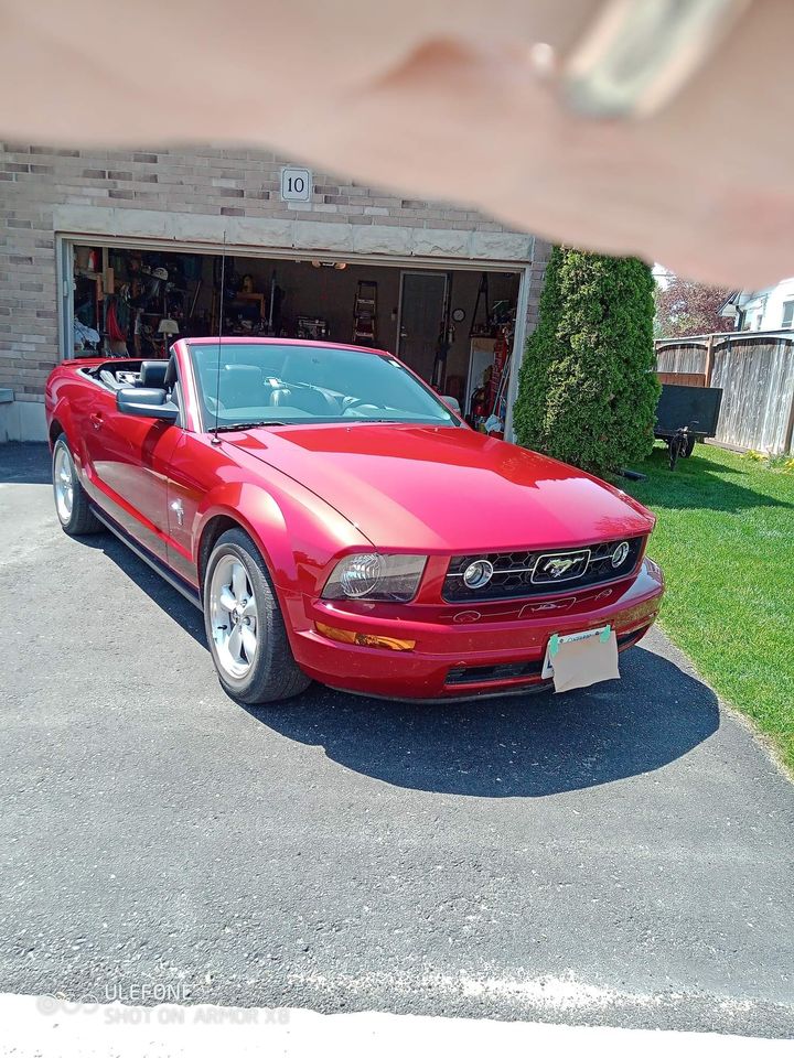 Second Hand 2007 Ford mustang Deluxe Convertible 2D For Sale London, Ontario