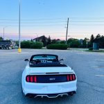 Second Hand 2016 Ford mustang For Sale Brampton, Ontario Gallery Image