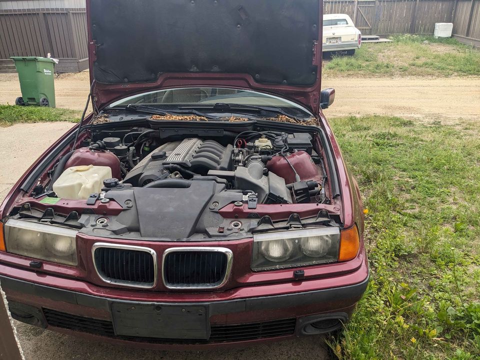 Second Hand 1997 BMW series 3 Red Deer, AB